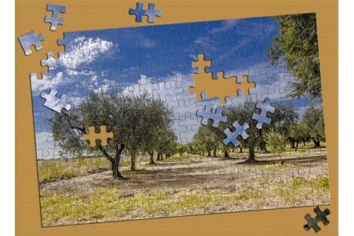 Εκτύπωση σε παζλ